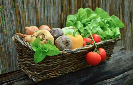 かごに入った採れたて野菜